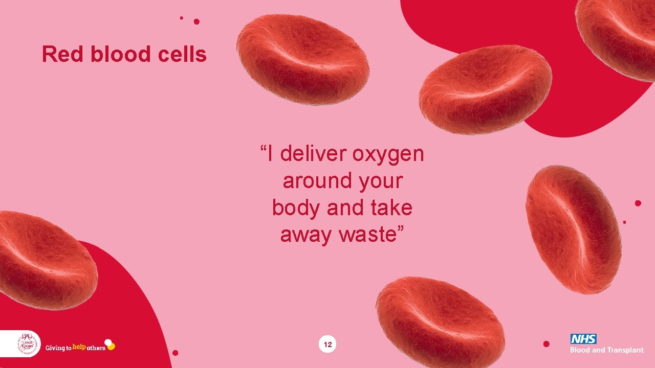 Red blood cells “I deliver oxygen around your body and take away waste” 12