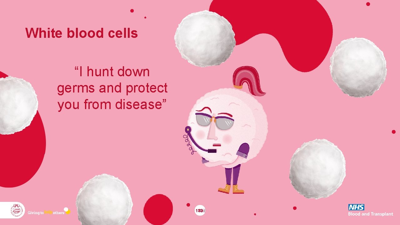 White blood cells “I hunt down germs and protect you from disease” 13￼ 13