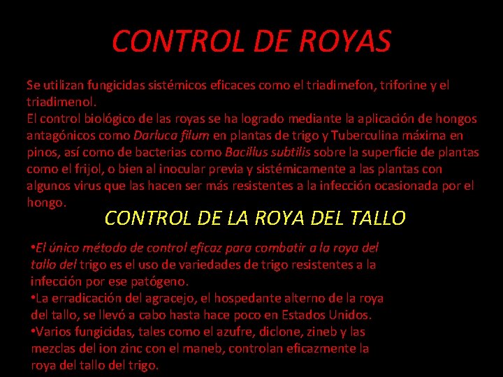 CONTROL DE ROYAS Se utilizan fungicidas sistémicos eficaces como el triadimefon, triforine y el