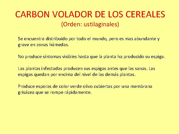 CARBON VOLADOR DE LOS CEREALES (Orden: ustilaginales) Se encuentra distribuido por todo el mundo,