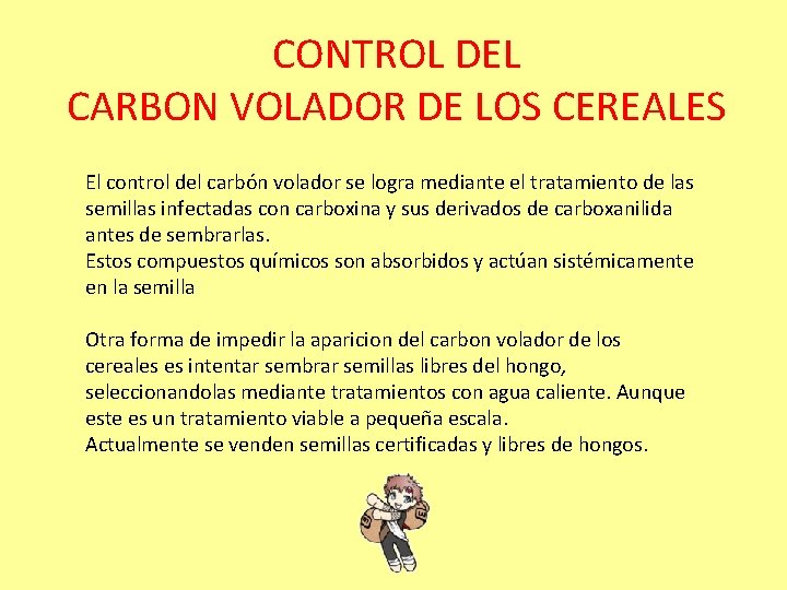 CONTROL DEL CARBON VOLADOR DE LOS CEREALES El control del carbón volador se logra