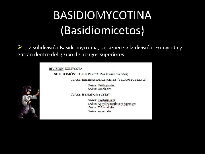 BASIDIOMYCOTINA (Basidiomicetos) Ø La subdivisión Basidiomycotina, pertenece a la división: Eumycota y entran dentro