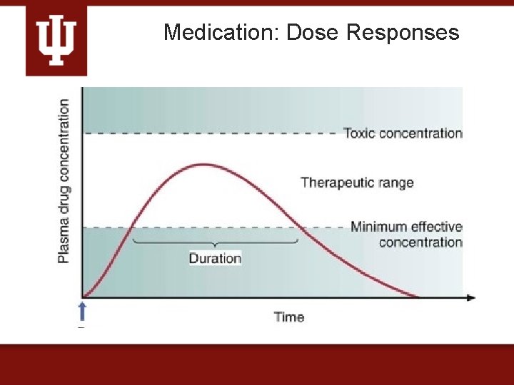 Medication: Dose Responses 