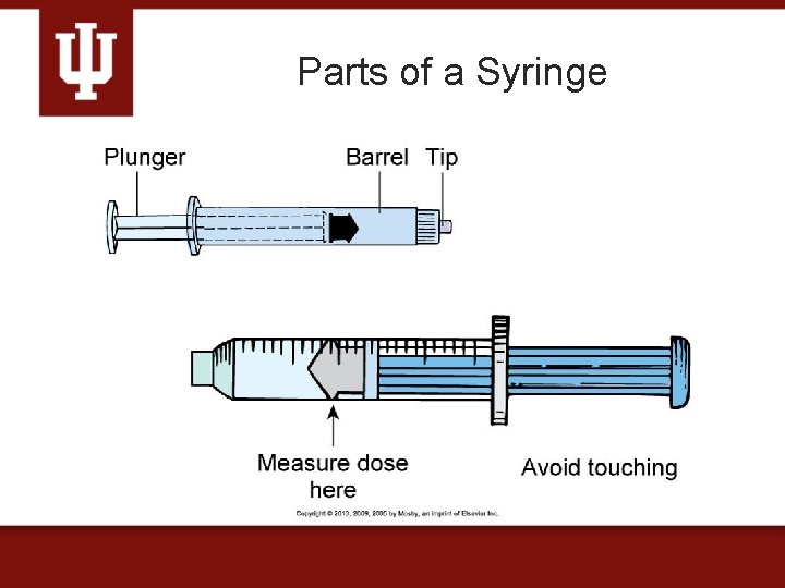 Parts of a Syringe 