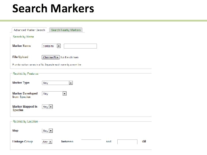 Search Markers 