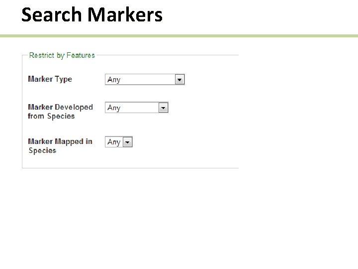 Search Markers 