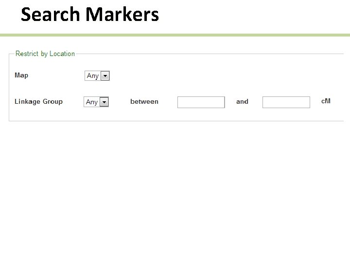 Search Markers 