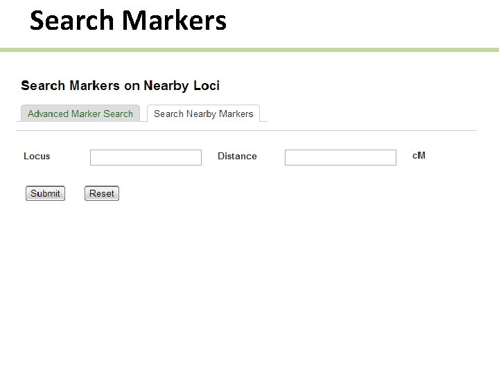 Search Markers 