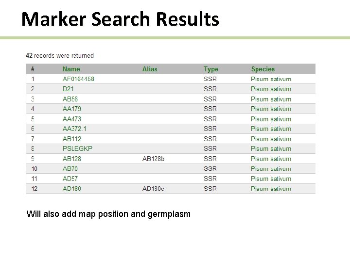 Marker Search Results Will also add map position and germplasm 