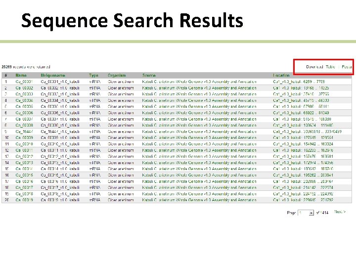 Sequence Search Results 