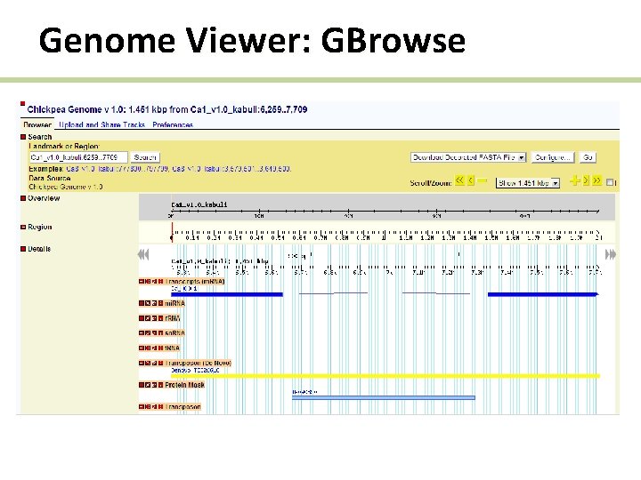 Genome Viewer: GBrowse 