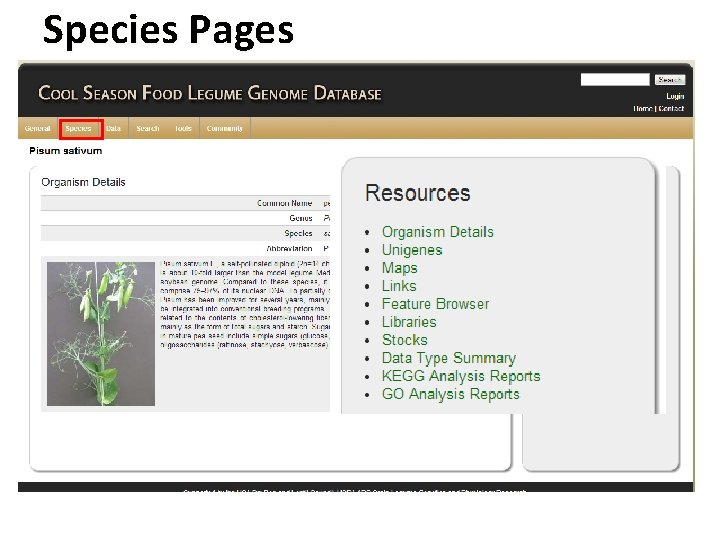 Species Pages 