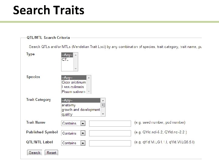 Search Traits 