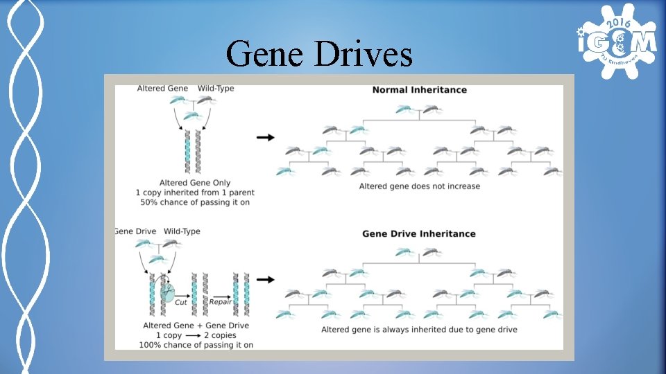 Gene Drives 