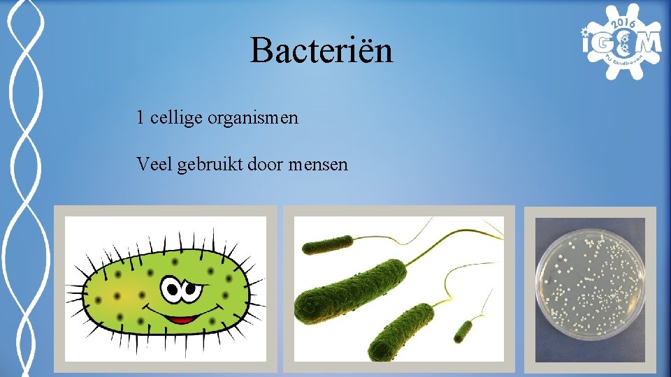 Bacteriën 1 cellige organismen Veel gebruikt door mensen 