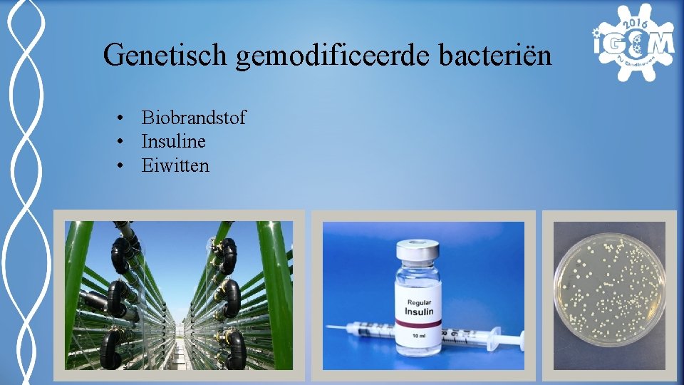 Genetisch gemodificeerde bacteriën • Biobrandstof • Insuline • Eiwitten 