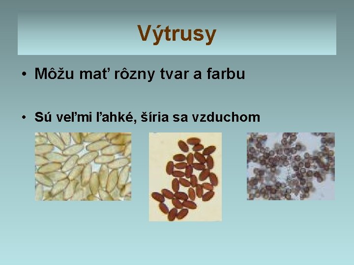 Výtrusy • Môžu mať rôzny tvar a farbu • Sú veľmi ľahké, šíria sa Výtrusy • Môžu mať rôzny tvar a farbu • Sú veľmi ľahké, šíria sa
