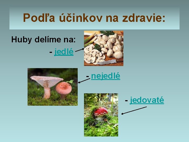 Podľa účinkov na zdravie: Huby delíme na: - jedlé - nejedlé - jedovaté Podľa účinkov na zdravie: Huby delíme na: - jedlé - nejedlé - jedovaté