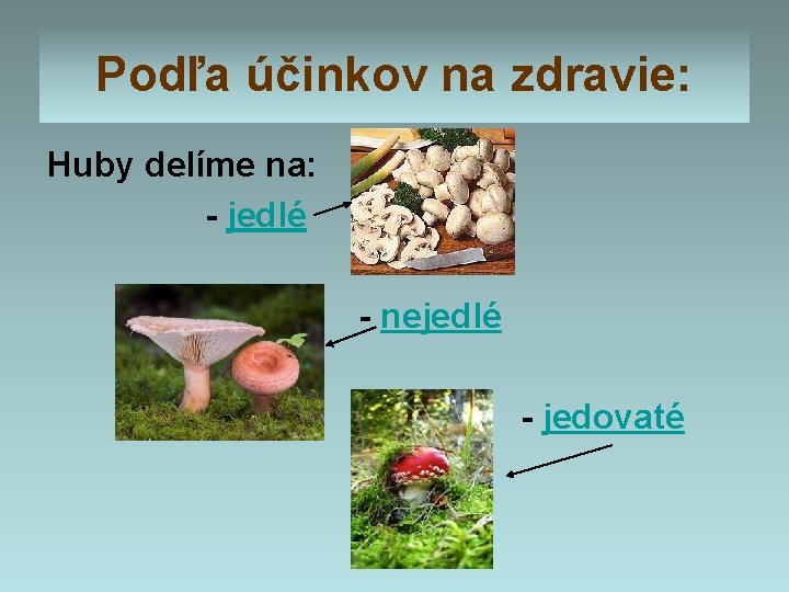 Podľa účinkov na zdravie: Huby delíme na: - jedlé - nejedlé - jedovaté 