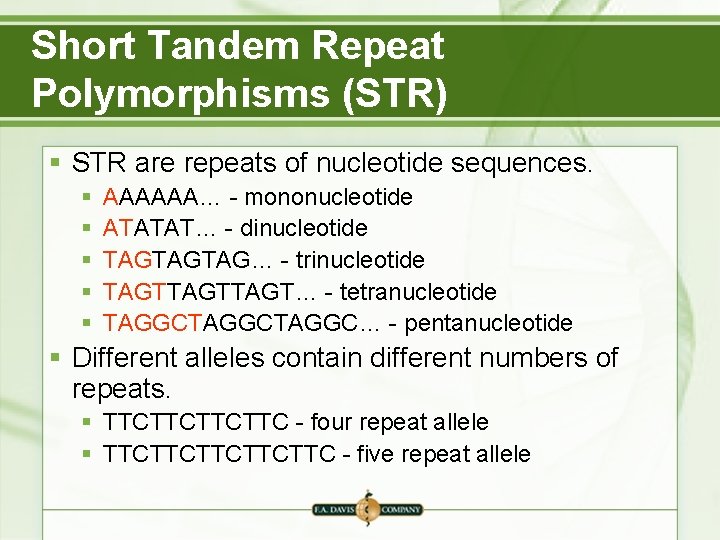 Short Tandem Repeat Polymorphisms (STR) § STR are repeats of nucleotide sequences. § § Short Tandem Repeat Polymorphisms (STR) § STR are repeats of nucleotide sequences. § §
