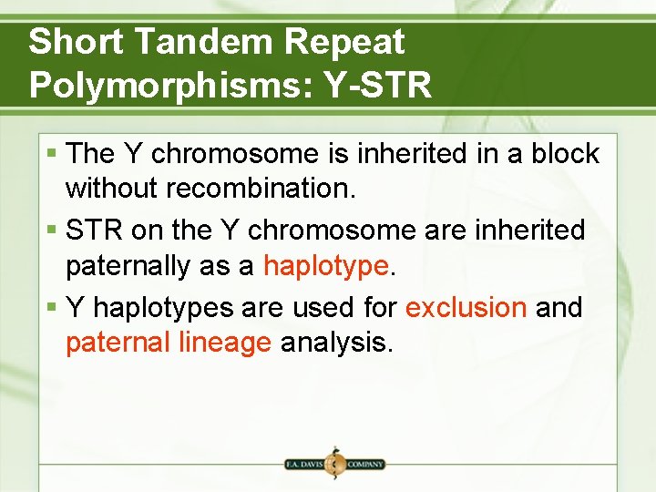 Short Tandem Repeat Polymorphisms: Y-STR § The Y chromosome is inherited in a block Short Tandem Repeat Polymorphisms: Y-STR § The Y chromosome is inherited in a block