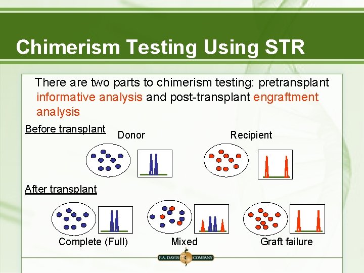 Chimerism Testing Using STR There are two parts to chimerism testing: pretransplant informative analysis Chimerism Testing Using STR There are two parts to chimerism testing: pretransplant informative analysis