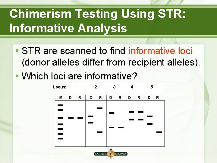 Chimerism Testing Using STR: Informative Analysis § STR are scanned to find informative loci Chimerism Testing Using STR: Informative Analysis § STR are scanned to find informative loci