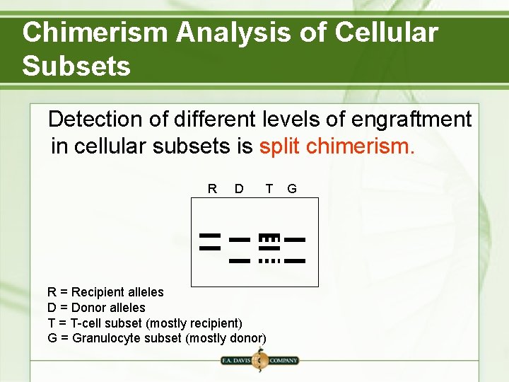 Chimerism Analysis of Cellular Subsets Detection of different levels of engraftment in cellular subsets Chimerism Analysis of Cellular Subsets Detection of different levels of engraftment in cellular subsets