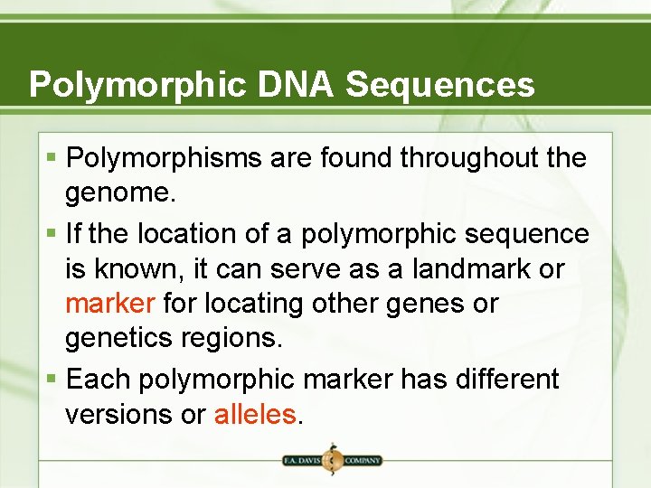 Polymorphic DNA Sequences § Polymorphisms are found throughout the genome. § If the location Polymorphic DNA Sequences § Polymorphisms are found throughout the genome. § If the location