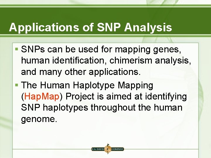 Applications of SNP Analysis § SNPs can be used for mapping genes, human identification, Applications of SNP Analysis § SNPs can be used for mapping genes, human identification,