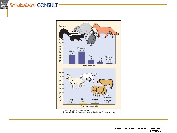 Downloaded from: Student. Consult (on 11 May 2009 03: 45 PM) © 2005 Elsevier