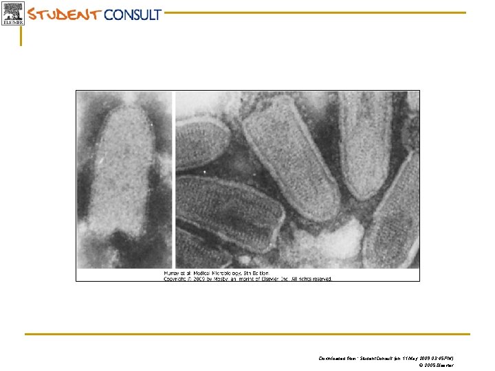 Downloaded from: Student. Consult (on 11 May 2009 03: 45 PM) © 2005 Elsevier