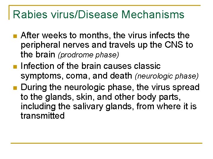 Rabies virus/Disease Mechanisms n n n After weeks to months, the virus infects the