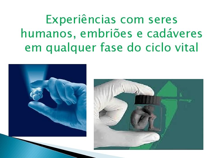 Experiências com seres humanos, embriões e cadáveres em qualquer fase do ciclo vital 