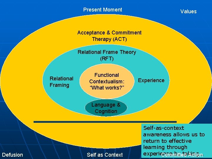 Present Moment Values Acceptance & Commitment Therapy (ACT) Relational Frame Theory (RFT) Relational Framing