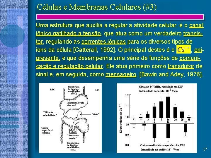 Células e Membranas Celulares (#3) Uma estrutura que auxilia a regular a atividade celular,