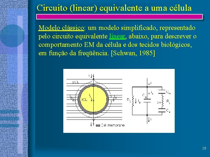 Circuito (linear) equivalente a uma célula Modelo clássico: um modelo simplificado, representado pelo circuito