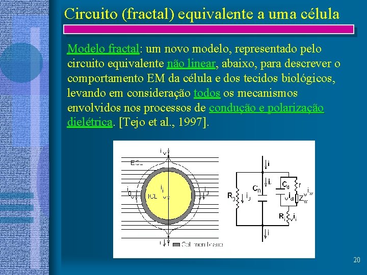 Circuito (fractal) equivalente a uma célula Modelo fractal: fractal um novo modelo, representado pelo