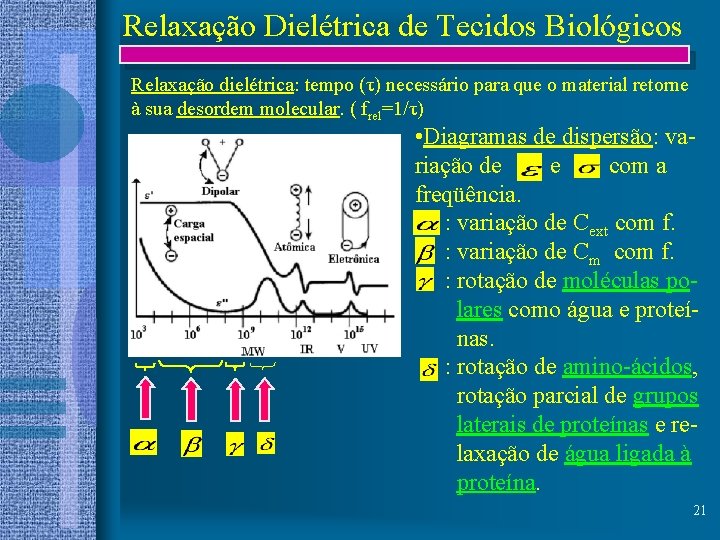 Relaxação Dielétrica de Tecidos Biológicos Relaxação dielétrica: tempo (τ) necessário para que o material