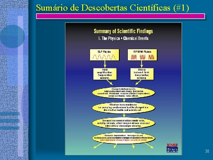 Sumário de Descobertas Científicas (#1) 38 