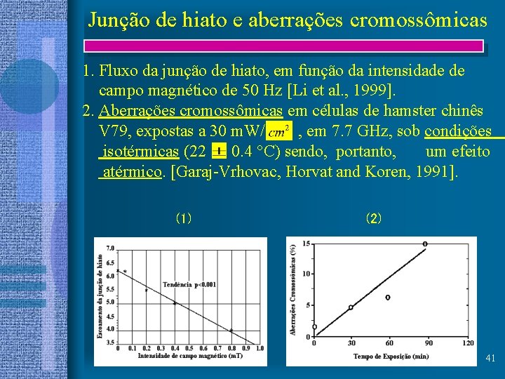 Junção de hiato e aberrações cromossômicas 1. Fluxo da junção de hiato, em função