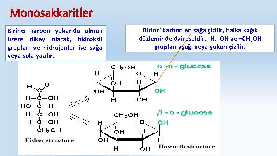 Monosakkaritler Birinci karbon yukarıda olmak üzere dikey olarak, hidroksil grupları ve hidrojenler ise sağa