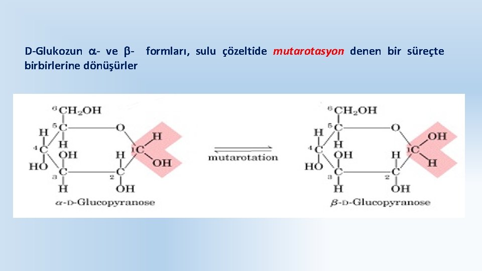 D-Glukozun - ve - formları, sulu çözeltide mutarotasyon denen bir süreçte birbirlerine dönüşürler 