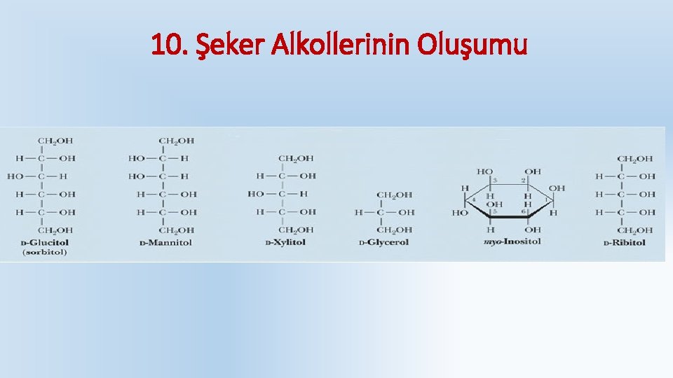 10. Şeker Alkollerinin Oluşumu 