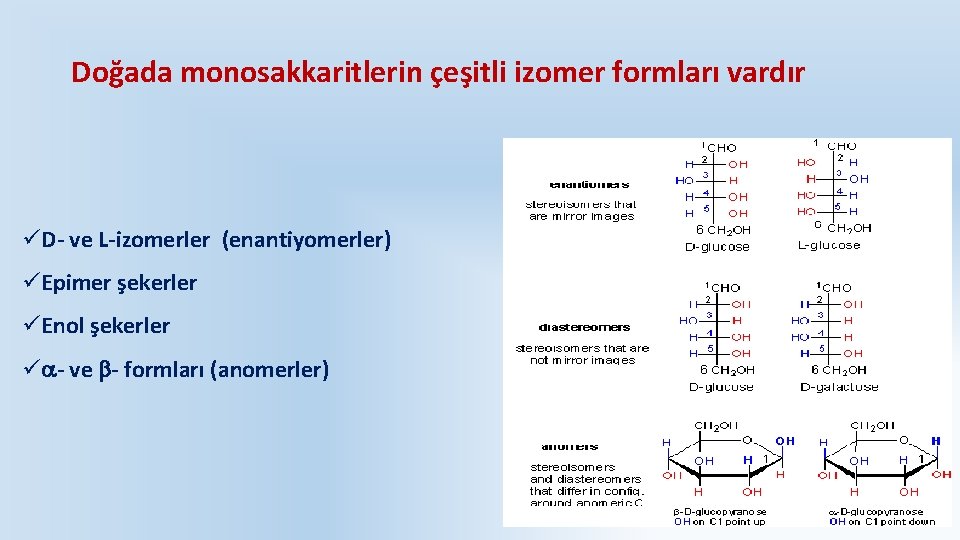 Doğada monosakkaritlerin çeşitli izomer formları vardır üD- ve L-izomerler (enantiyomerler) üEpimer şekerler üEnol şekerler