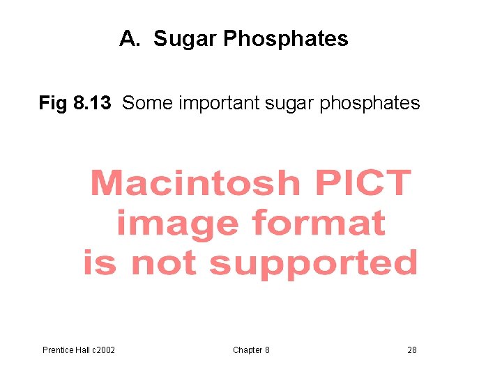 A. Sugar Phosphates Fig 8. 13 Some important sugar phosphates Prentice Hall c 2002