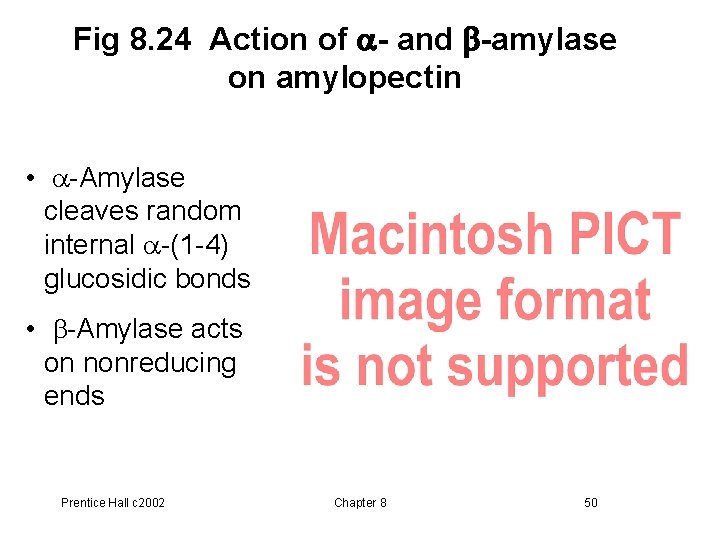Fig 8. 24 Action of a- and b-amylase on amylopectin • a-Amylase cleaves random