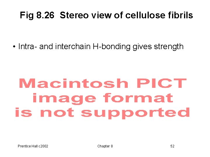 Fig 8. 26 Stereo view of cellulose fibrils • Intra- and interchain H-bonding gives