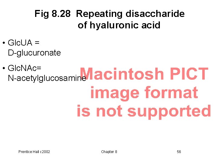 Fig 8. 28 Repeating disaccharide of hyaluronic acid • Glc. UA = D-glucuronate •
