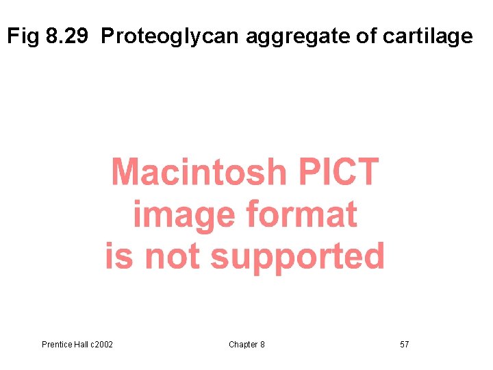 Fig 8. 29 Proteoglycan aggregate of cartilage Prentice Hall c 2002 Chapter 8 57